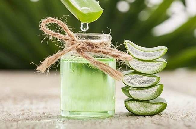 Aloe vera 2024 benefits for body